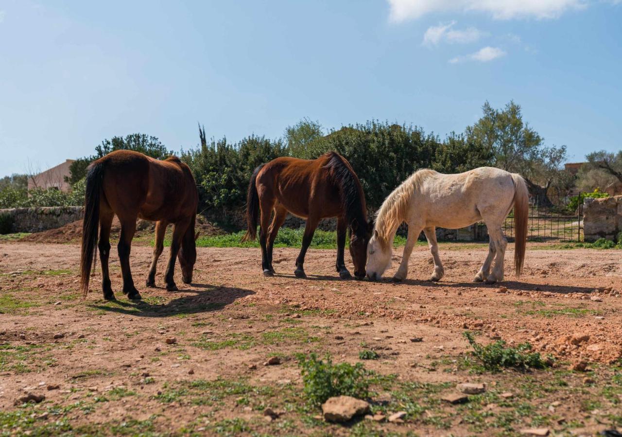 Agroturismo Sa Canoveta Colonia de Sant Jordi Esterno foto